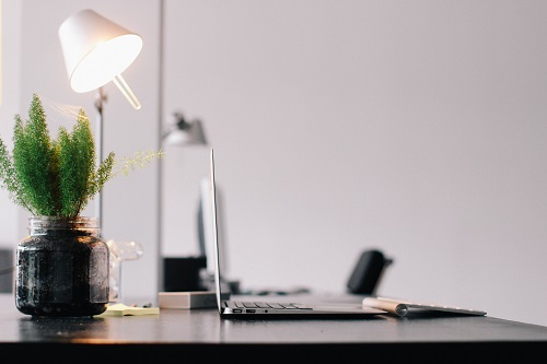 Computer-Lamp-and-plant-on-desk