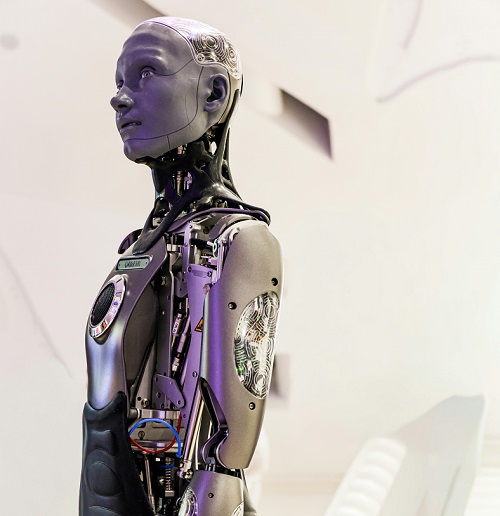 An image of a life size robot